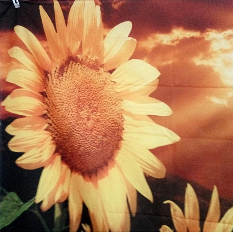 Tenture Murale Tournesol 3 Tenture Murale Tournesol – Image 3