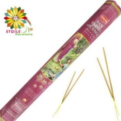 20 Bâtonnets Encens Saint Raphaël L'Archange