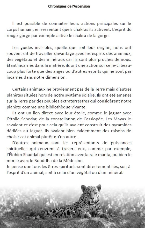 Chroniques De L’Ascension - Tome 1 - Yann Lipnick 2 Chroniques De L’Ascension - Tome 1 - Yann Lipnick – Image 2