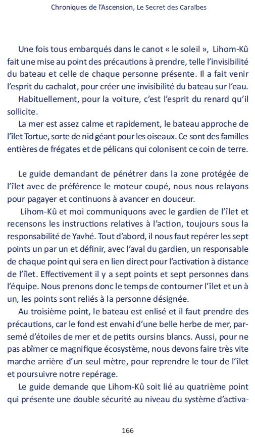 Chroniques De L’Ascension - Tome 2 - Manà Lipnick 3 Chroniques De L’Ascension - Tome 2 - Manà Lipnick – Image 3