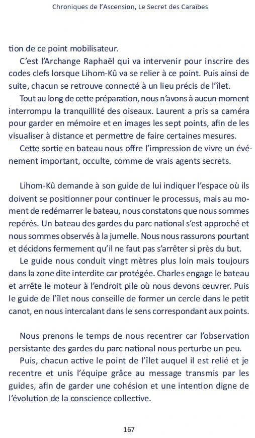Chroniques De L’Ascension - Tome 2 - Manà Lipnick 4 Chroniques De L’Ascension - Tome 2 - Manà Lipnick – Image 4