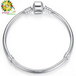 Bracelet Classic Argent 925 Pour Breloques