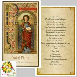 Image Pieuse Saint Pierre Du 29 Juin