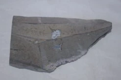 Géode Améthyste De 781 Gr -EtoileHarmonie Promos Boutique geode amethyste uruguay etoileharmonie 6