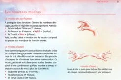 Manuel Explorateur De L'invisible Lipnick 7 Manuel Explorateur De L'invisible Lipnick -EtoileHarmonie Promos Boutique guide explorateur invisible yann lipnick etoileharmonie fr