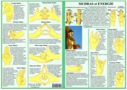Planche Des Mudras Et énergie