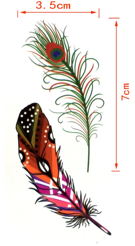 Plumes De Paon Tatouages 2 Plumes De Paon Tatouages – Image 2